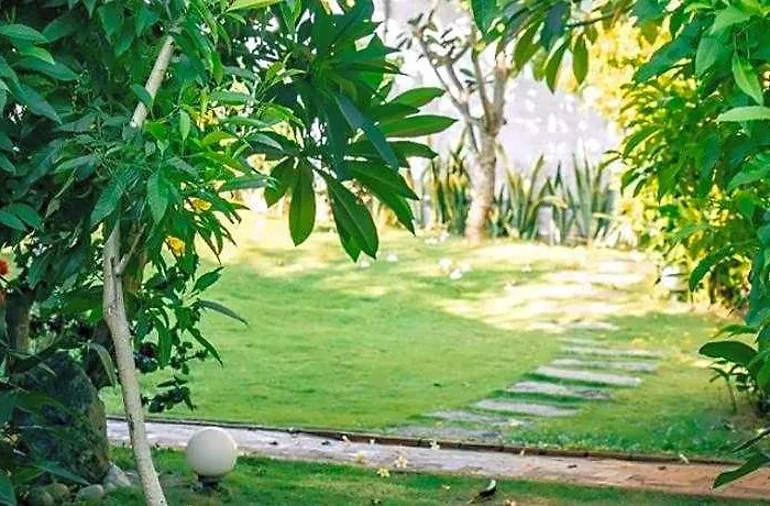 Tuong Vy Boutique Mui Ne Phan Thiet