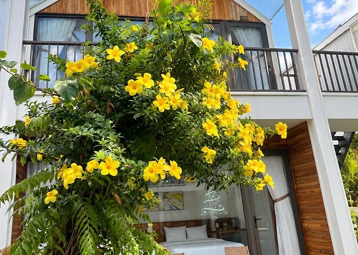 Tuong Vy Boutique Mui Ne Hotel